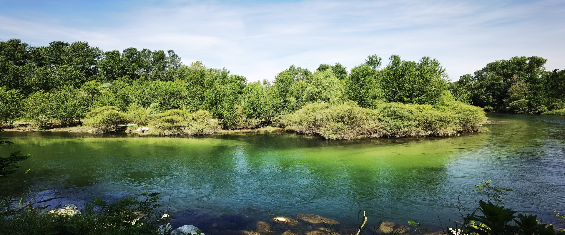 I GIORNI DELLA MERLA ATTORNO ALLA LANCA DI BERNATE TICINO